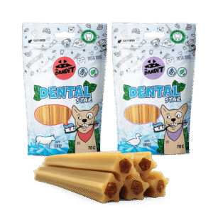 Mr. Bandit Dental Stars